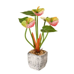  ϗtA AXE 3{d A ~͕ tFCNO[ rO  ItBX  CeA   ^ t[