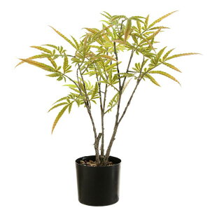 tFCNO[ ϗtA A lHϗtA  A[gt[ CeA u  rO  ItBX fBXvC 55cm [J tFjbNX[t |bg