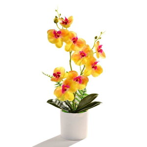  Ӓ A 9 t[ lHϗtA tFCNO[ 41cm  _  CeA  rO  ItBXp  ~j~