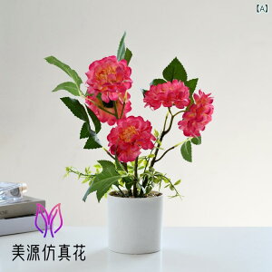 tFCNO[ VNN  ~jA t[ lHϗtA A  CeA  fBXvC u  EFfBO Be [Y CG[ Vp