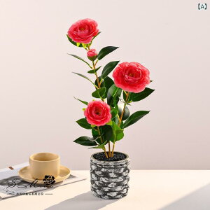  ~ coL l{ tFCNt[ lHϗtA CeA rO  fR[V  u  t[ 46cm