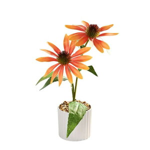  tFCNt[ ʋe 2{ A |bg lHϗtA tFCNO[ rO  ItBX fXN  u IuWF CeAi