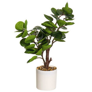 tFCNO[ ϗtA t A ~   u  CeA A   rO  ItBX Xܗp eiXsv