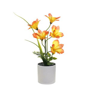 tFCNO[ Ӓ ~j  A  t[ A  CeA IuWF  rO ֏