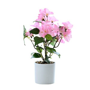 ~ tFCNO[ lHϗtA  u[QrA  CeA  u IuWF A