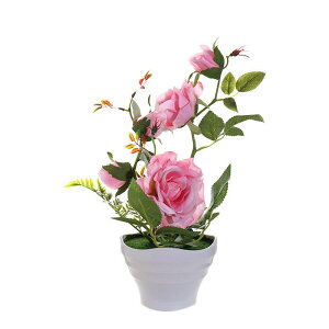  A o ^ tFCNO[ t[ A  _  CeA  u rO  ItBX fR[V KN ϗtA