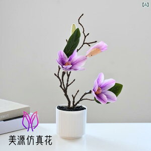 ~ ؘ@ }OmA  tFCNO[   AȎ CeA  rO ItBX  t[ j v[g 蕨 z[fR[V