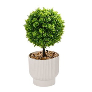 tFCNO[ OX{[ ~j~   c i`eCXg [J  u CeA  eiXt[