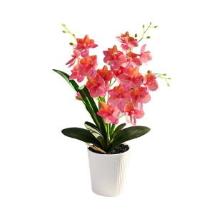 造花 盆栽 ミニ胡蝶蘭 18輪 鉢植え フェイクグリーン 本物そっくり 製 手入れ不要 インテリア 飾り 卓上 玄関 リビング オフィス向け 41cm おしゃれ