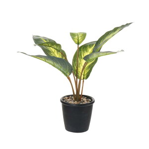 tFCNO[ |gX ϗtA lH A   [t z[fR[V CeA Be sv ItBX  rO u