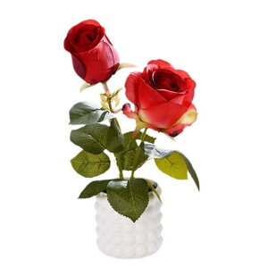  ϗtA o [Y ~ A  tFCNO[ tFCNt[  i A  _  CeA  sv ͂Ȃ