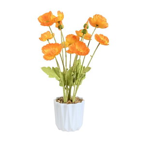  |s[ 12{   A A[gt[ t[ tFCNO[ CeA  rO  ItBX u  Be