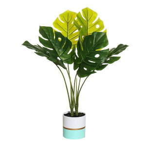  Xe tFCNO[ ϗtA t[ A  CeA  rO   sv