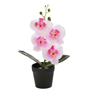 tFCNO[ R`E A    CeA u A[gt[ ϗtA ^ ~j t[ A sv  rO ItBX fBXvC