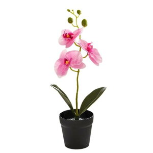  tFCNO[ R`E AȐGSn t[ IȔA p CeA ϗtA rO  fXN IuWF