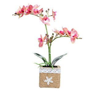  A R`E 16 t[ tFCNO[ A  CeAG rO  ItBX u  sv n [YsN zCg  bh