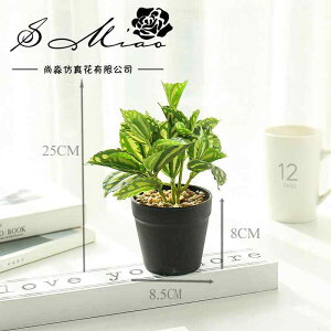 tFCNO[  ~jA [t   u IuWF RpNg CeA A sv Be 