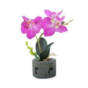  Ӓ ~jA t[ A  u CeA  킢 Mtg v[g j  uC_ rO  ItBX fBXvC