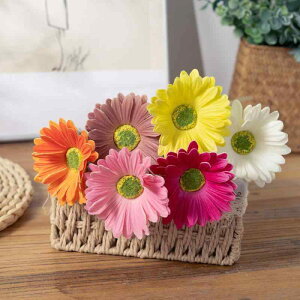  PU K[x tFCNt[ A  CX^f EFfBO CeA z[fR[V rO   Mtg v[g