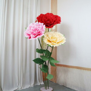  xxbg O rbOt[wbh EFfBO  Cxg wifBXvC ^AWg z[fR[V Be