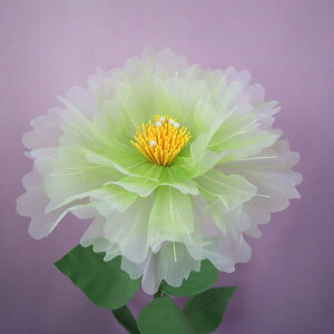  O A[gt[ ^ rbOTCY  VbsO[ fBXvC Cxg 䉉o K[f EFfBO  z[fR[V Be FWJ a40cm 50cm