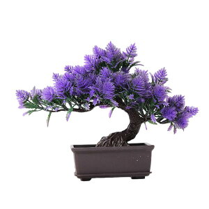 tFCNO[  _ؕ ϗtA ~͕ u  rO _CjO ze tg er  CeA IuWF sNn CG[n bhn p[vn