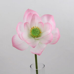 @ @̗t @Q @̎ dp  rO  _X Be 䑕 CeA fBXvC PVC sN [Y p[v zCg CG[