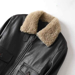 U[WPbg fB[X t U[ t@[ݕt g Be[W V[g uE ʋ ItBX JWA ꂢ