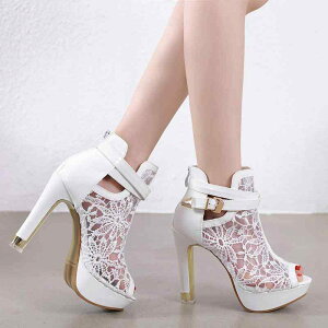 T_u[c fB[X I[vgD [X bV  nCq[ sq[ OfBG[^[ obNWbv ؍ tFCNU[ S t  