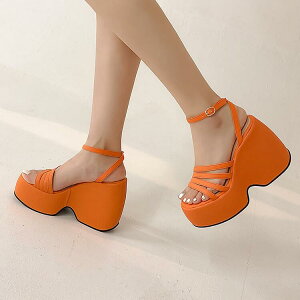 T_ fB[X Xgbv  EFbW\[ obNXgbv PUU[ h vbgtH[ EhgD S JWA ig 傫TCY t ubN O