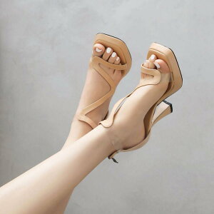 T_u[c fB[X ĕ Gi XNGAgD I[vgD TChI[v Xg[ LgDq[ nCq[ obNWbp[ @ t ubN CguE Av