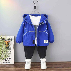 WPbg LbY j̎q xr[ tH~ t[ht iC WbvAbv  Xg[gn JWA u] EBhu[J[ ig ʉ ʊw   