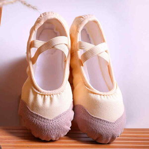 oGV[Y LbY ̎q _X K bX H~ N ۉ h g _炩 tBbg \  