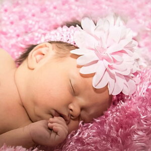 wAoh xr[ q VtH t[ Lk \tgf ?ی Ԃp wbhoh 킢 ig o