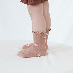 xr[\bNX qp V 0-5Ό Et D ~ K DG Eɂ ig  tH