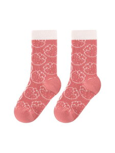 C ̎q LbY H~ ȑf  N[ O nC\bNX DڂȂ g ʊw ig ؍t@bV  gh