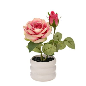 ~j~ [Y KN  tFCNt[ A[gt[ CeAG IuWF   rO  ItBX  킢 bh sN zCg Vp u