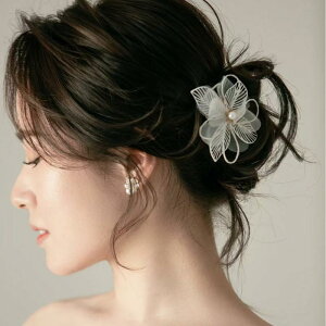 wbhhX uC_ ԉ EFfBO  wAANZT[  ؂₩ t[ ؍ D  `[ VtH i i` P[VBe OB p[eB[