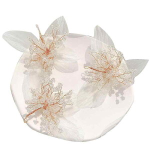 񂴂 EFfBO ԉ ؍ vZX  NX^  t[  I OB B Be p[eB[ Cxg ؂₩ i 킢 GKg wAs  wbh