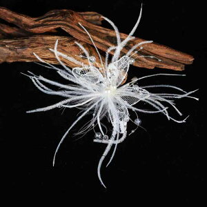 wAANZT[ fB[X ԉ uC_  I F  nhCh [X H tFU[ X zCg @ i GKg  wbhhX wANbv T