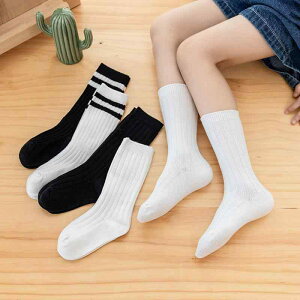 \bNX LbY xr[ q j̎q ̎q nC\bNX O\bNX XgCv {[_[ R[}  ig ʊw o K Lk 炩 G ʋC [\bNX 