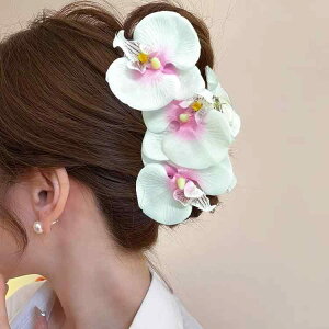 wAANZT[ fB[X ĕ i GKg ؂₩ O  t[`[t Nbv Ԃ  ][g oJX Be ʐ^f tF~j fC[[X