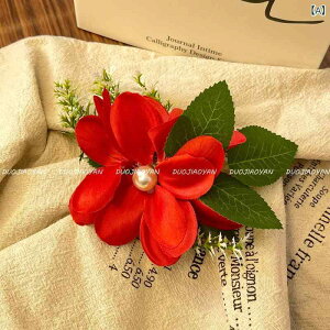 wAANZT[ fB[X t t[ wAR[ _X o s ʐ^Be r[` oP[V } z  i`  sN 