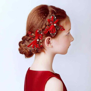 wAANZT[ ̎q  vZX  wANbv ԏ Ԑ  p[eB[p qp  3Έȏ