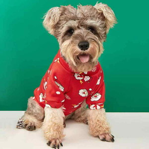 ybg  L ybgEFA NX}X XEFbgVc vI[o[ h ۉ  N ԂႾ g H~ o  LOBe 킢 