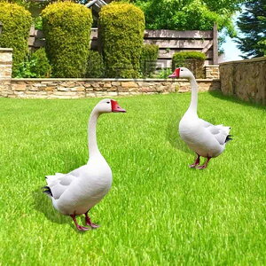 K[fI[ig 2D K`E AN NX}XfR[V Op  Aȓ`[t K[fsbN GNXeAG  킢  ֑ Iu