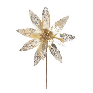 NX}XI[ig     򐶒n TCY c[ ؂₩  S[WX p[eB[ Xܑ  