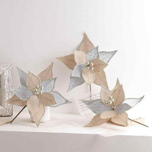 NX}XfR[V  NX}Xc[  z nhCh } [X EFfBO Xܑ ^ fBXvC