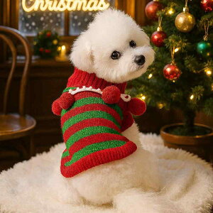 ybgEFA Lp H~ nEB NX}X Cxg  킢 JWA  Jt h jbg Z[^[