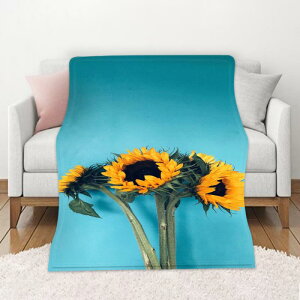 uPbg DIY ԕ H~ ۉ \t@Jo[ \t@uPbg Ђ| ׃vg  tl [΍ ѕz